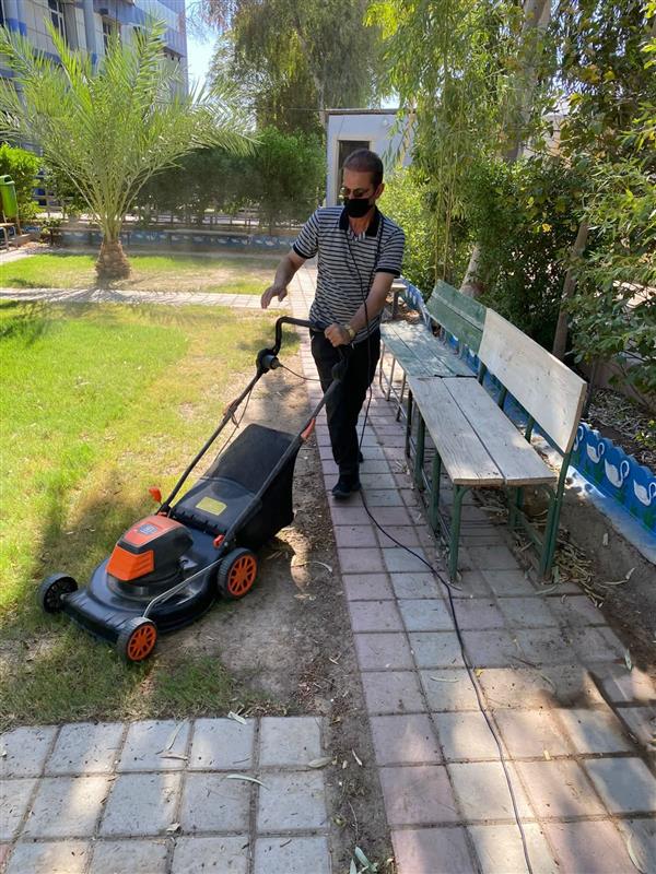 Organizing the College Gardens