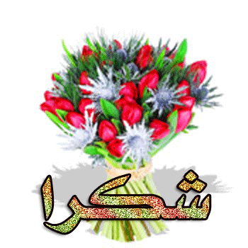 شكر وامتنان الى دائرة بلدية هيت 