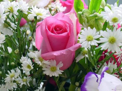 حملة تطوعية
