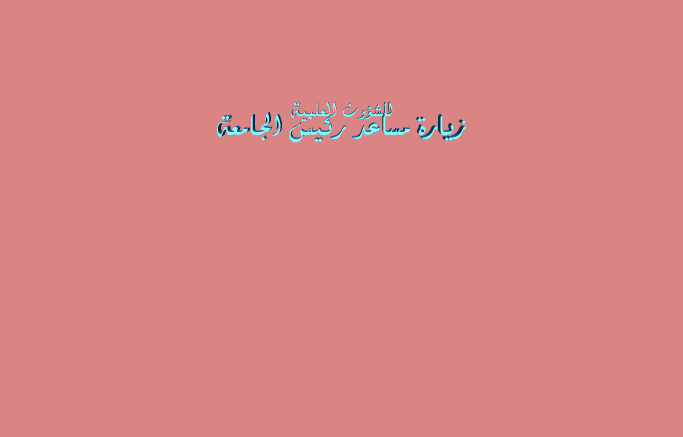 زيارة السيد مساعد رئيس الجامعة للشؤون العلمية أ.د خالد بتال النجم